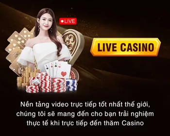 Cấp phép và quản lý